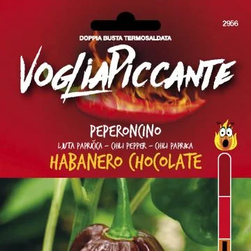 centropiazzolla2310022