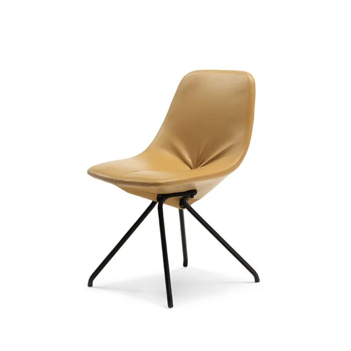 ciatdesign2272900