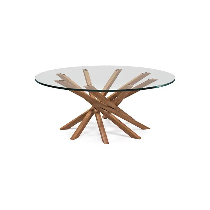 ciatdesign2331491