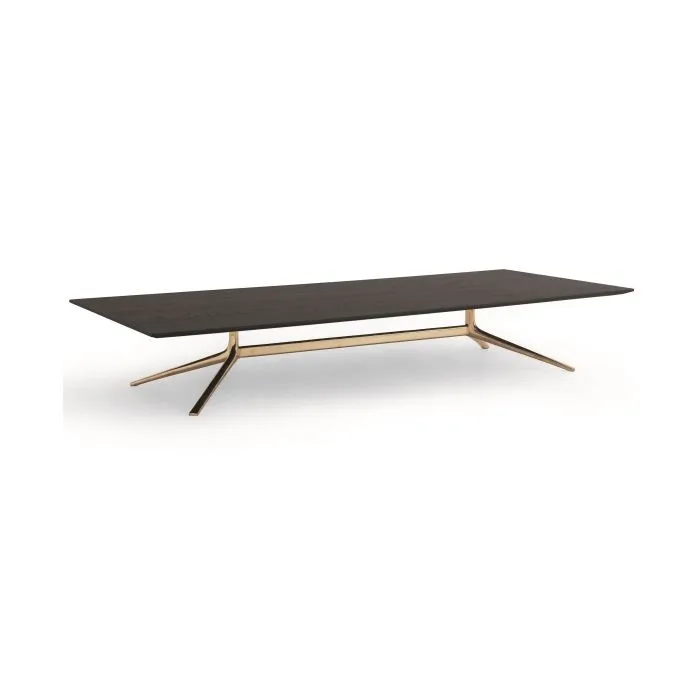 ciatdesign2337354