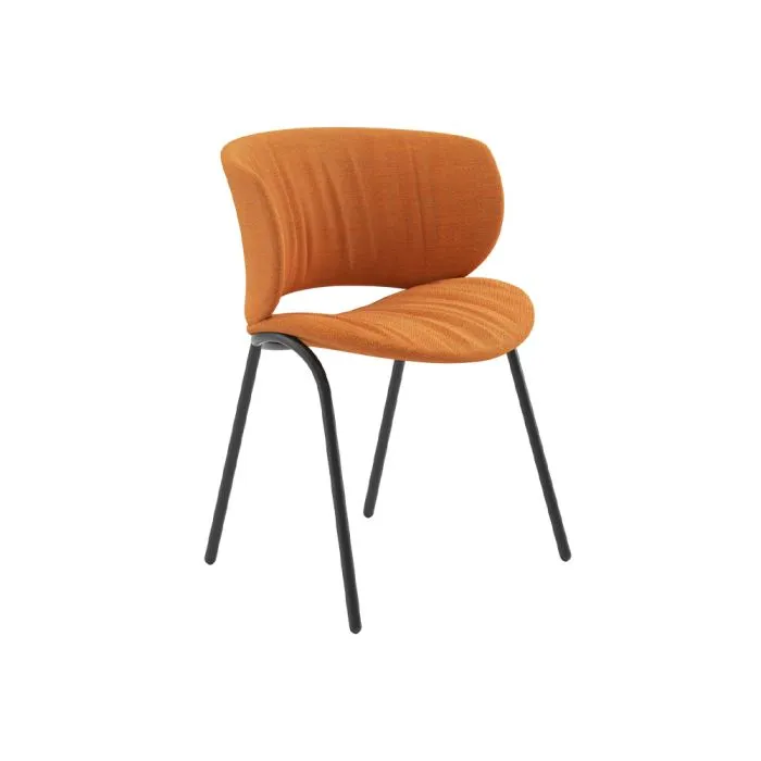 ciatdesign2386802