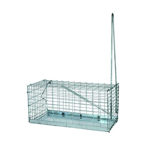 eacommerce2687376