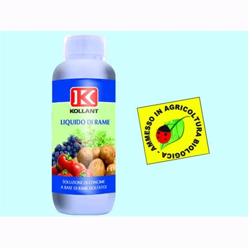eacommerce2917442