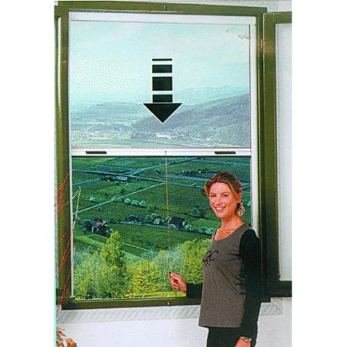 eacommerce2948081