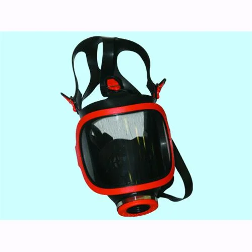 eacommerce2954804