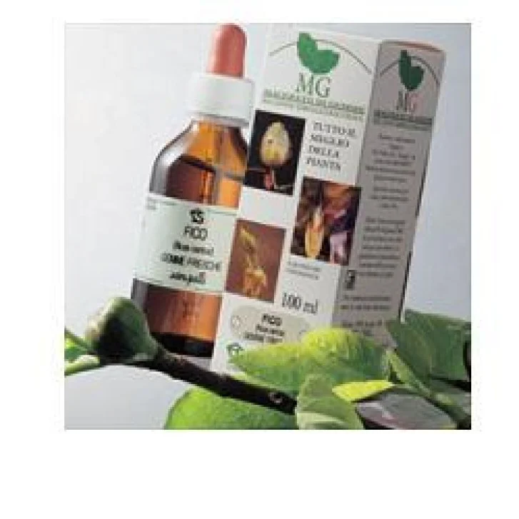 epharmacy1550474