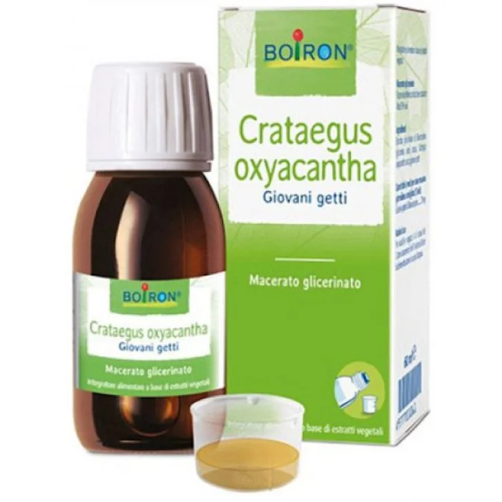 epharmacy1567682
