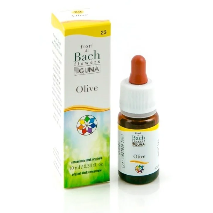 epharmacy1568607