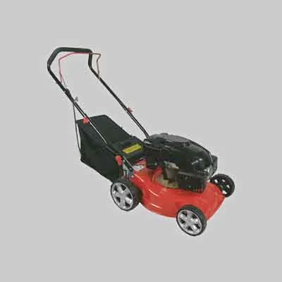 extrashopping2443094