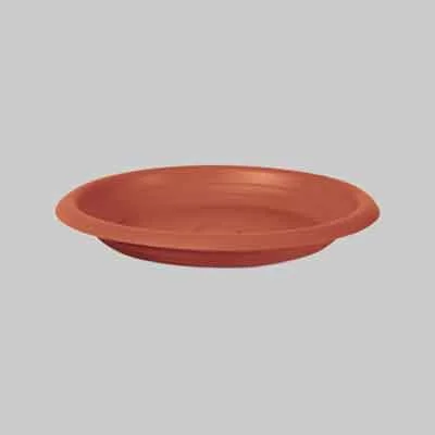 extrashopping2507814