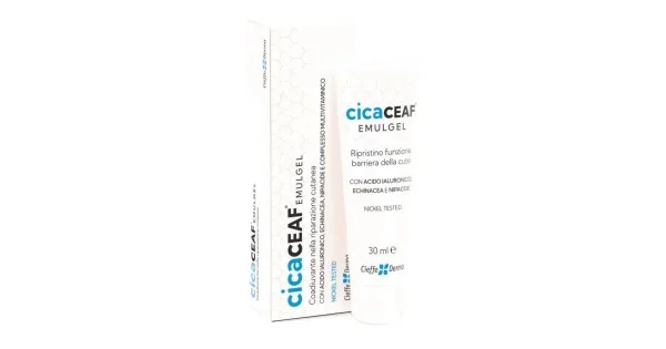 farmaciagaudiana-11846105