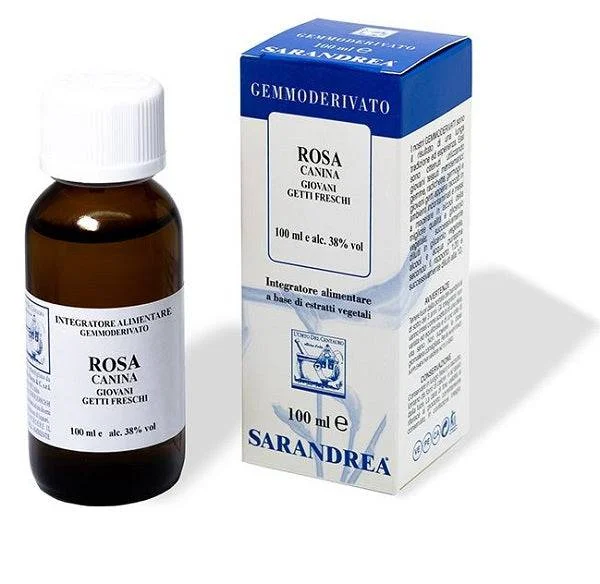 lovesano-11288596