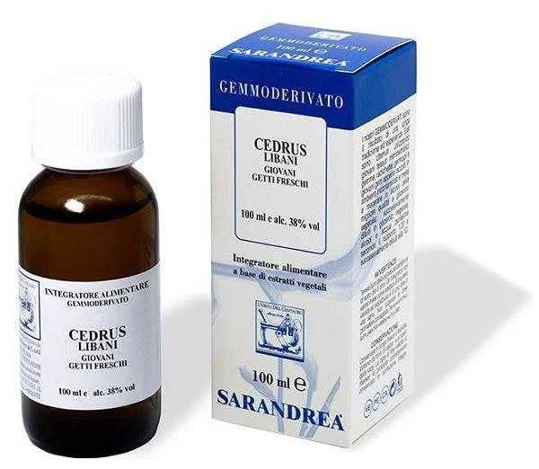 lovesano-11375011