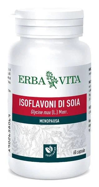 lovesano-11441636