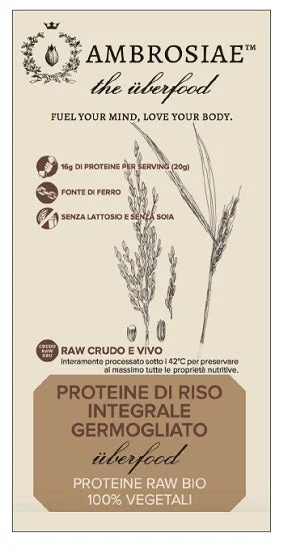 lovesano-21384959