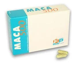 lovesano-21480017