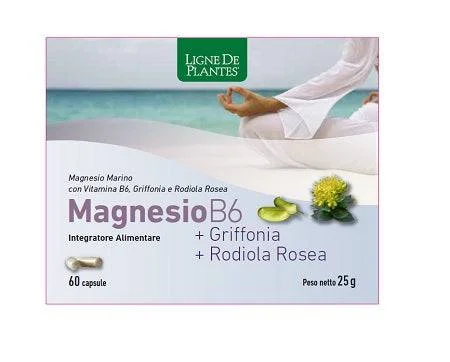 lovesano1153065