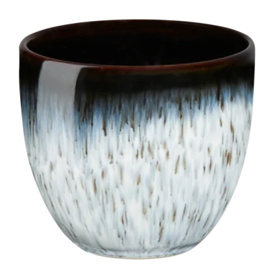 negoziocucina2505514