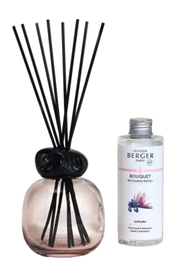 negoziocucina2576887
