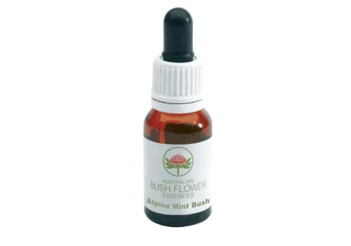 pharmasi-11368814