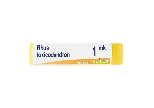 pharmasi-11383515