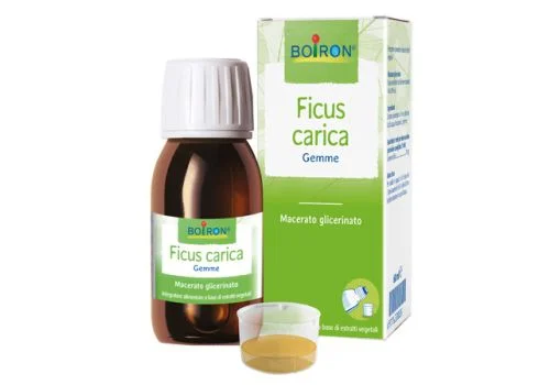 pharmasi1257178