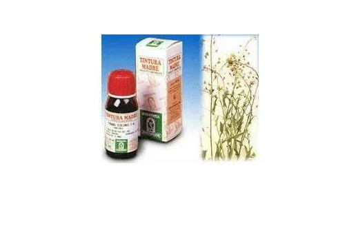 pharmasi1299418